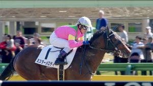 【競馬/2歳新馬】ミスターメロディ強過ぎ【東京ダ1300レコード】 【競馬/2歳新馬】ミスターメロディ強過ぎ【東京ダ1300レコード】