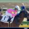 【競馬/2歳新馬】ミスターメロディ強過ぎ【東京ダ1300レコード】