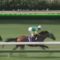 【競馬】20年前サイレンスよりエアグルーヴを優先した武豊の恩をアザで返したエアスピネルの馬主