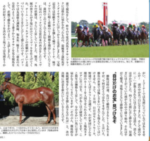 【競馬/ジャパンC】シュヴァルグランから福永が降ろされた理由・・・宝塚記念で勝手に逃げて佐々木の逆鱗に触れる