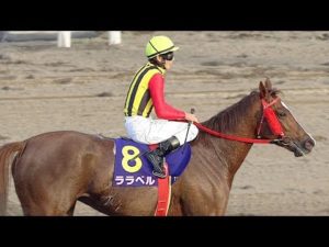【競馬】もしかして武豊さん、地方騎手に追い負けた？