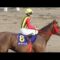 【競馬】もしかして武豊さん、地方騎手に追い負けた？