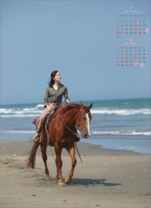 【競馬】ジャスタウェイ大和屋暁氏 藤田菜七子の騎乗にご立腹 「肩を落として家に帰った」 「次走は戸崎だから期待している」 【競馬】ジャスタウェイ大和屋暁氏 藤田菜七子の騎乗にご立腹 「肩を落として家に帰った」 「次走は戸崎だから期待している」