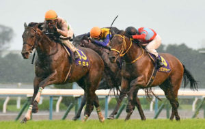 【競馬】キセキなど日本馬８頭が 香港国際競走の招待受諾