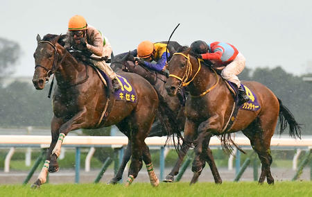 【競馬】キセキなど日本馬８頭が 香港国際競走の招待受諾