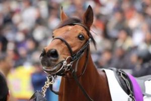 【競馬】ディサイファ好きなやつ正直に手をあげろ