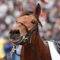 【競馬】ディサイファ好きなやつ正直に手をあげろ