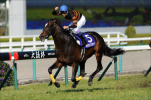 【競馬/ジャパンC】なんかキタサンブラック飛びそうじゃない？