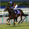 【競馬/ジャパンC】なんかキタサンブラック飛びそうじゃない？