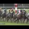 【競馬/マイルCS】京都は土曜日雨、よってエアスピネルマイルCS勝ち、１００％確定!!!!!!
