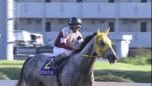 【競馬】悲報…牝馬ダート路線、1600万下を勝てる馬すらいないレベルになってもうメチャクチャ