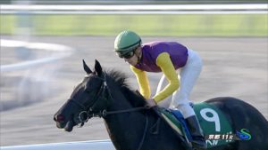 【競馬/阪神JF】今年のファンタジーS勝ち馬ベルーガ 左第3足根骨板状骨折発症で阪神JFを回避