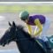 【競馬/阪神JF】今年のファンタジーS勝ち馬ベルーガ 左第3足根骨板状骨折発症で阪神JFを回避