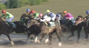 【地方競馬】南関移籍初戦も5着‥エピカリスとはなんだったのか 【地方競馬】南関移籍初戦も5着‥エピカリスとはなんだったのか