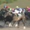 【地方競馬】南関移籍初戦も5着‥エピカリスとはなんだったのか