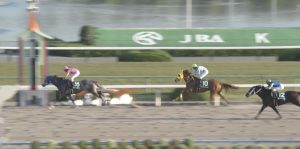 【競馬/チャンピオンズC】岡部「テイエムジンソクの古川騎手には頑張って欲しいですネ」