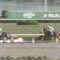 【競馬/チャンピオンズC】岡部「テイエムジンソクの古川騎手には頑張って欲しいですネ」