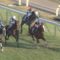 【競馬/アルゼンチン共和国杯】9着プレストウィック・シュミノー騎手「馬に走る気がまったくありませんでした。」