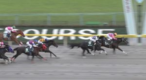 【競馬】インカンテーション引退