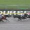 【競馬】インカンテーション引退