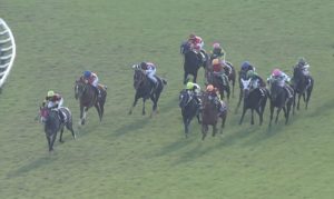 【競馬】エイシンティンクル追い込んできてて草