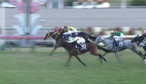 【競馬/エリ女】枠順確定！モズカッチャンは4枠7番、リスグラシューは6枠12番