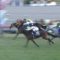 【競馬】エリザベス女王杯ゴール後、笑顔でデムーロに声をかける和田さん