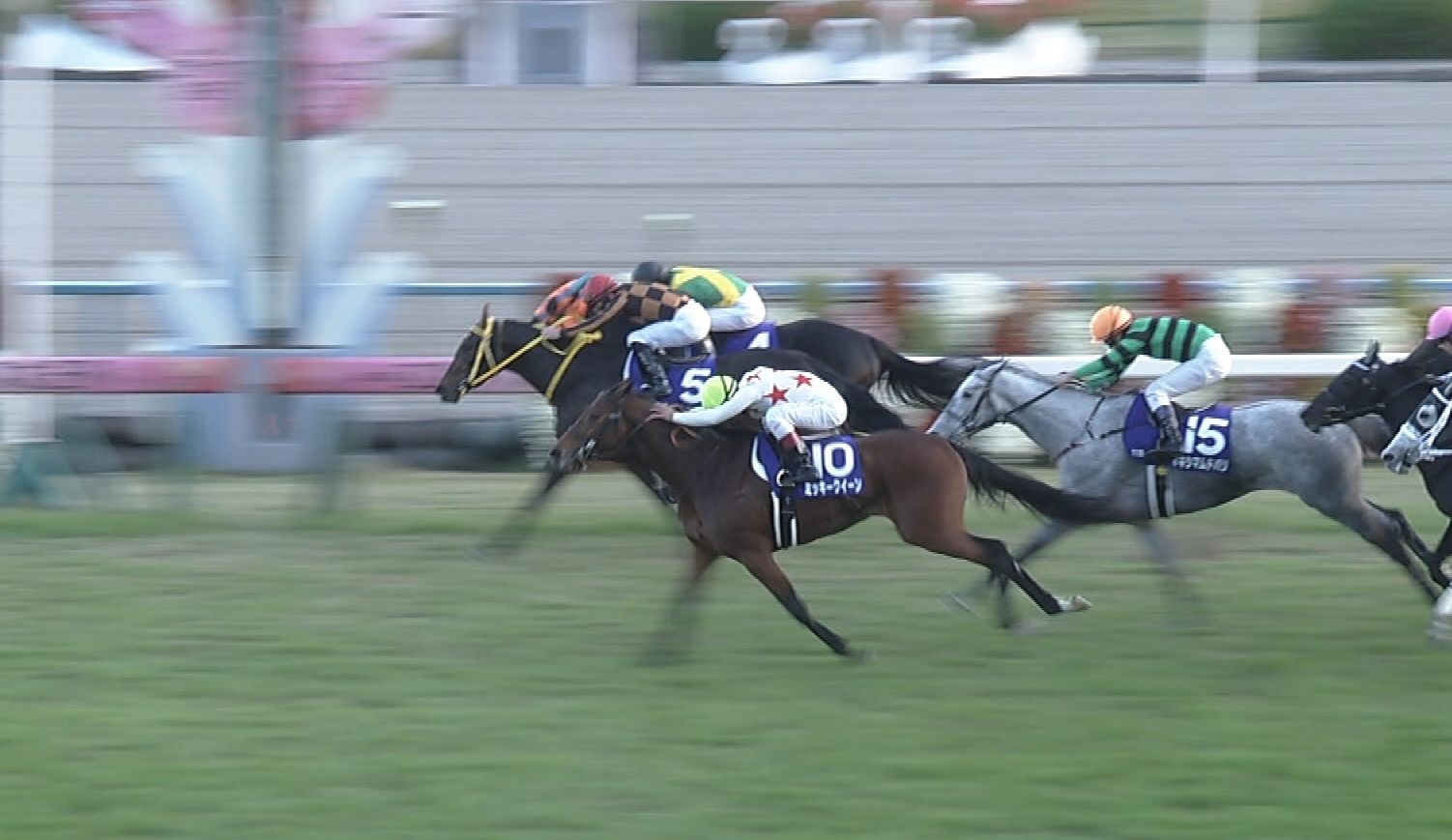 【競馬】エリザベス女王杯ゴール後、笑顔でデムーロに声をかける和田さん