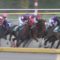 【競馬/アハルテケS】サンライズノヴァ戸崎圭太wwwwwwwwwwwwwwww