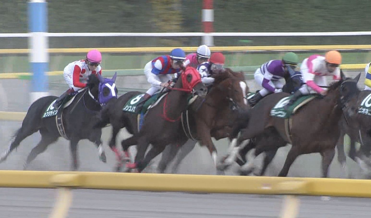 【競馬】戸崎「サンライズノヴァがなぜ負けたのか敗因が分からない…。」