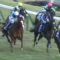 【競馬/ジャパンC】キタサンブラックとはなんだったのか