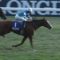 【競馬】シュヴァルグラン、ジャパンＣはスミヨンと新コンビ