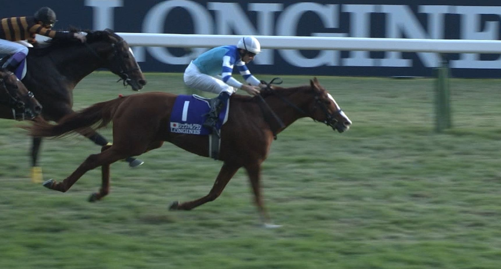 【競馬】シュヴァルグランが“キングジョージ”に挑戦！！