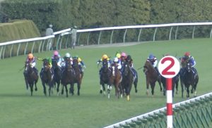 【競馬】ジャパンCの予備登録馬一覧 【競馬】ジャパンCの予備登録馬一覧
