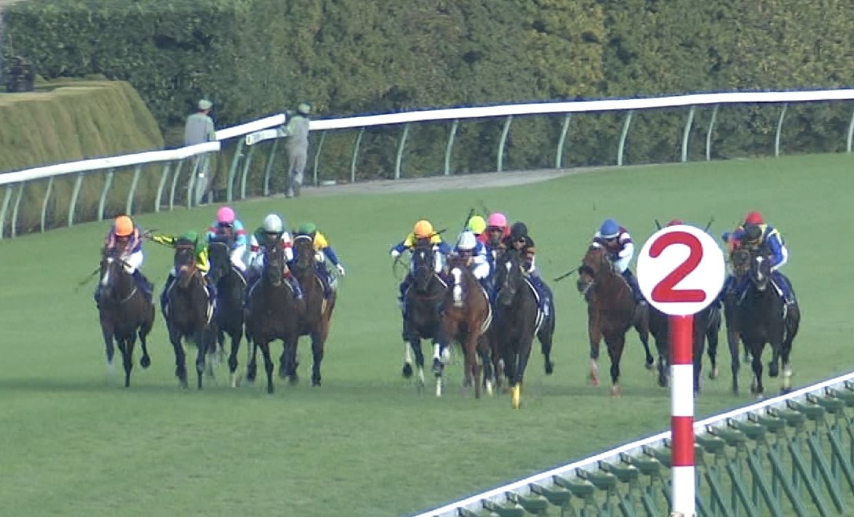 【競馬】ジャパンCの予備登録馬一覧
