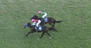 【競馬/マイルCS】武豊騎手最下位 【競馬/マイルCS】武豊騎手最下位