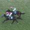 【競馬/マイルCS】武豊騎手最下位