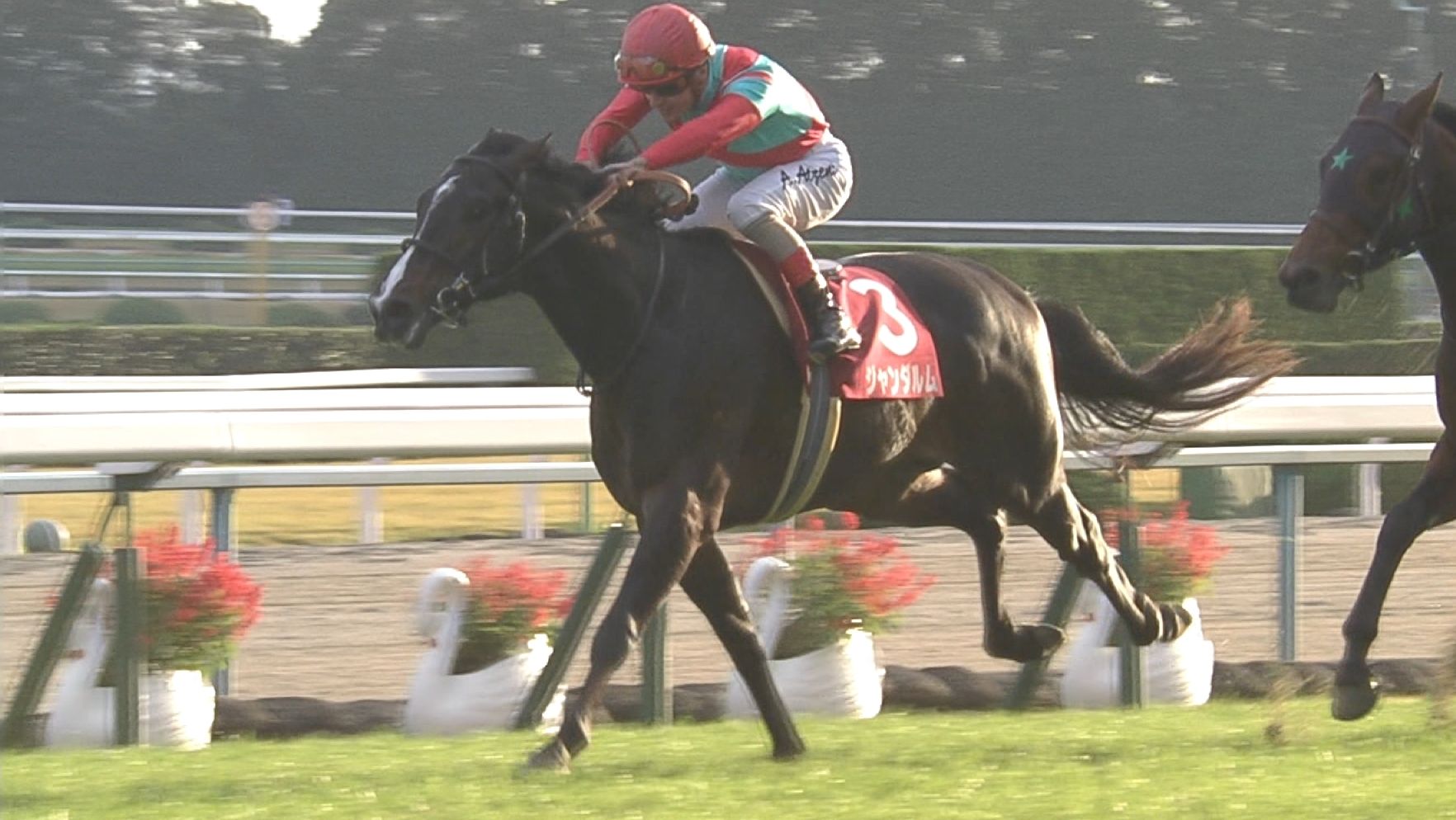 【競馬】新設2歳G1ホープフルSのメンバーがとんでもないことにw