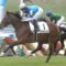 【競馬】ディープインパクト産駒、史上最速で1500勝達成。キングカメハメハの記録を上回る