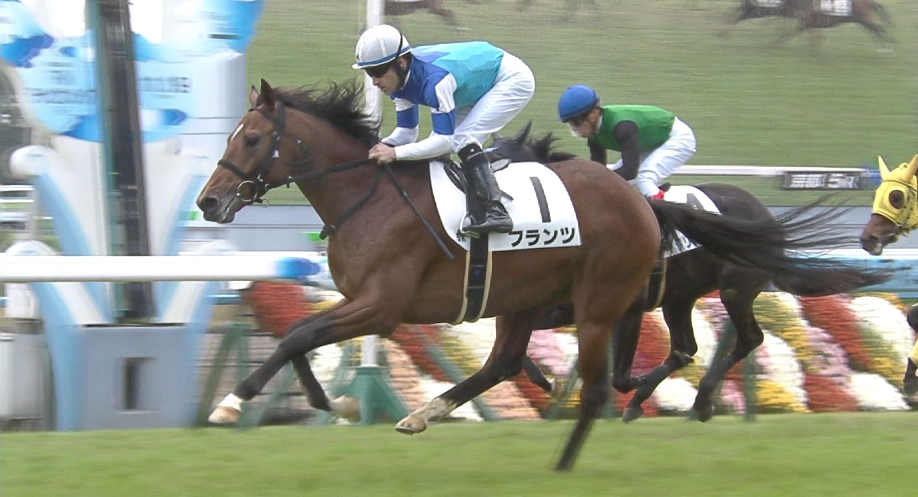 【競馬】ディープインパクト産駒、史上最速で1500勝達成。キングカメハメハの記録を上回る