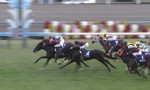 【競馬/マイルCS】武豊さんが降ろされた馬が2着と3着 【競馬/マイルCS】武豊さんが降ろされた馬が2着と3着
