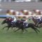 【競馬/中山記念】ペルシアンナイト1着で買う馬鹿