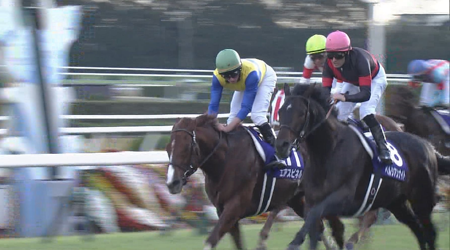【競馬】エアスピネル 行方不明