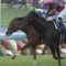 【競馬】中山記念ペルシアンナイトは買えるか？