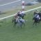 【競馬/エリ女】エリ女で一番下手に乗ったのは