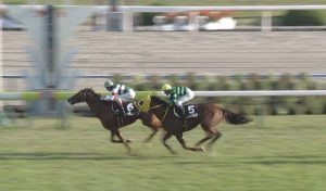 【競馬/安田記念】京王杯SC勝ちのムーンクエイクの不可解な回避理由「ルメールが先約で乗れないから」
