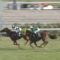 【競馬/安田記念】京王杯SC勝ちのムーンクエイクの不可解な回避理由「ルメールが先約で乗れないから」
