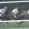 【競馬】デムーロ、デ杯2歳Sメガリージョンがレース中に故障→12R断然1番人気馬でレース前故障発生
