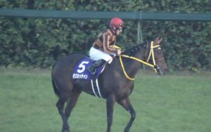 【競馬】モズカッチャンがドバイシーマクラシックの招待を受諾