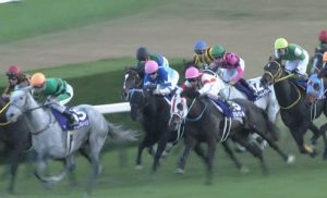 【競馬/エリ女】ヴィブロスにルメール乗せた佐々木ｗｗｗｗｗｗｗｗｗｗｗ